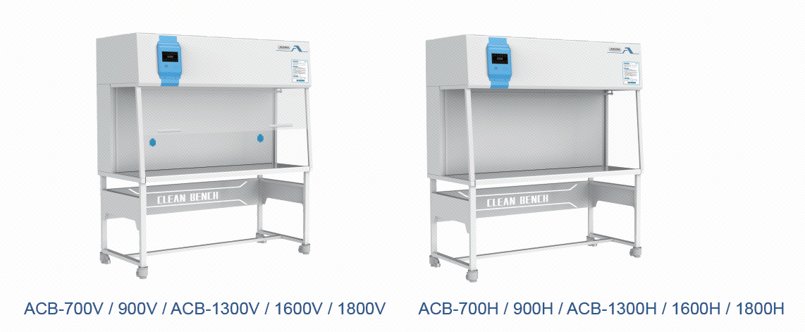 Immagine_20240812112604