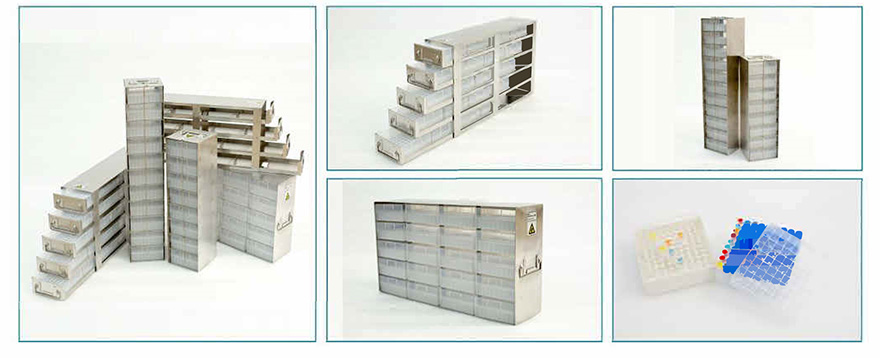 Immagine_20240403151134