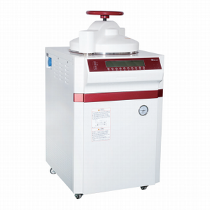 Scarico elettrico ad un pulsante Autoclave verticale