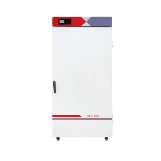 Perché il design della circolazione dell'aria è critico in un forno di asciugatura?